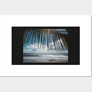 Palm Tree Beach Posters and Art